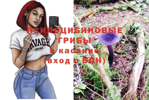 spice Протвино
