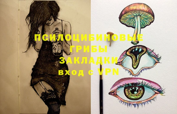 ECSTASY Абаза