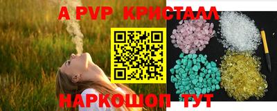 индика Дубна