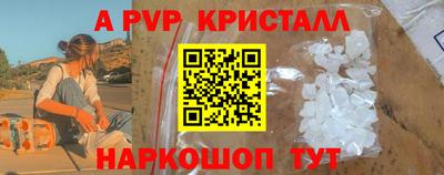 индика Дубна