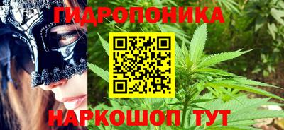 индика Дубна
