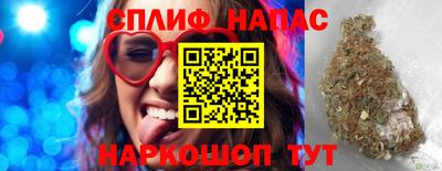 индика Дубна