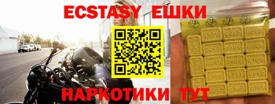 индика Дубна
