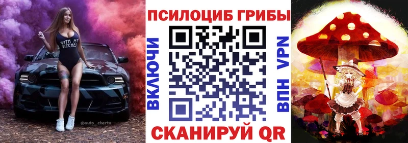 Галлюциногенные грибы Magic Shrooms  купить   Мурино 