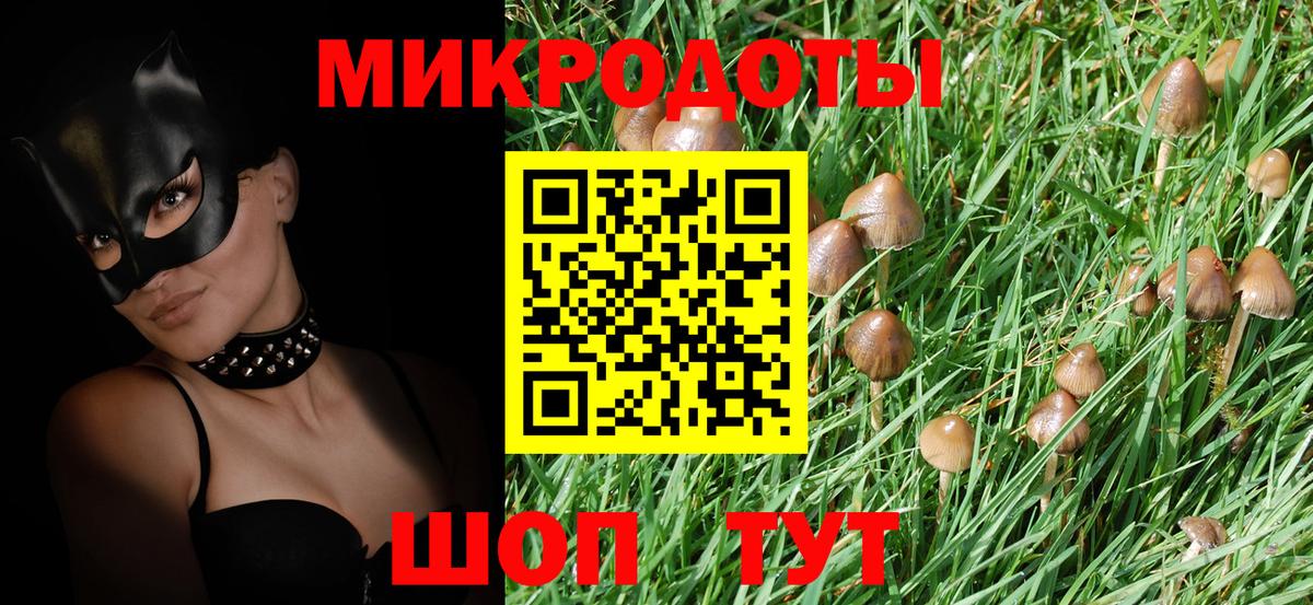 Мурино  Псилоцибиновые грибы Psilocybine cubensis  купить наркотики сайты  Вход с VPN 