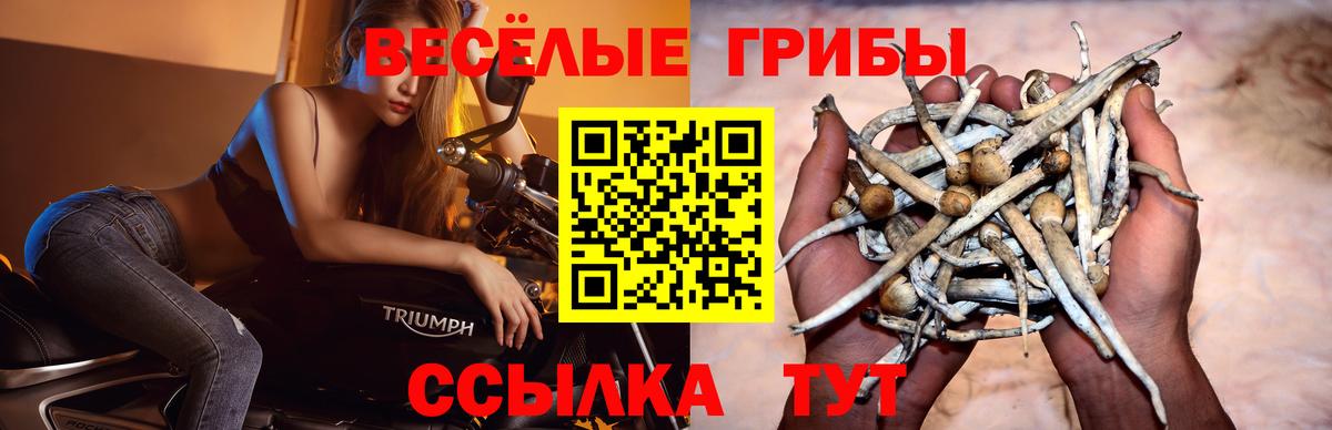 Псилоцибиновые грибы Magic Shrooms Мурино